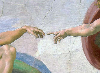 zdjecie