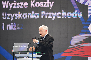 zdjecie