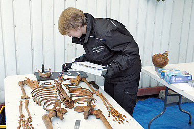 zdjecie