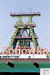 zdjecie