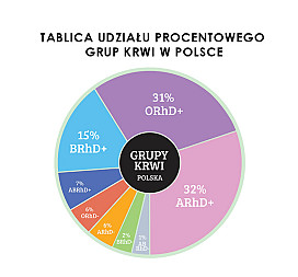 zdjecie