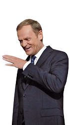 zdjecie