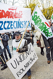 zdjecie