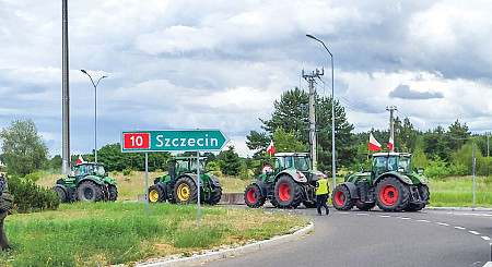 zdjecie