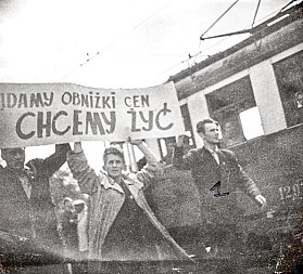 zdjecie