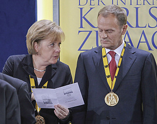 zdjecie