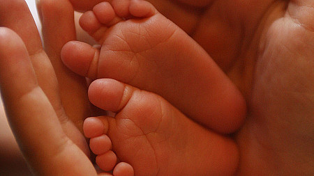 Ochrona życia: Między systemem a sumieniem