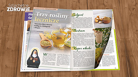 Trzy rośliny lecznicze