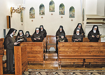 zdjecie