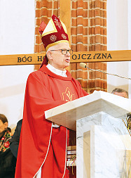 zdjecie
