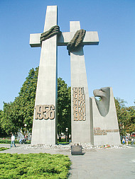 zdjecie