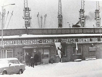 zdjecie