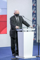 zdjecie