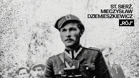 zdjecie