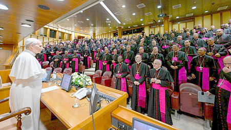 zdjecie
