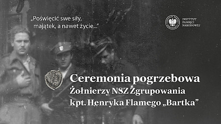 zdjecie