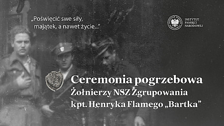 zdjecie