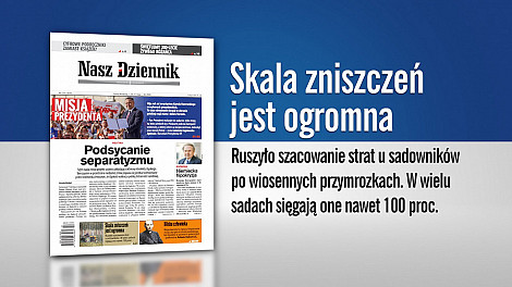 zdjecie