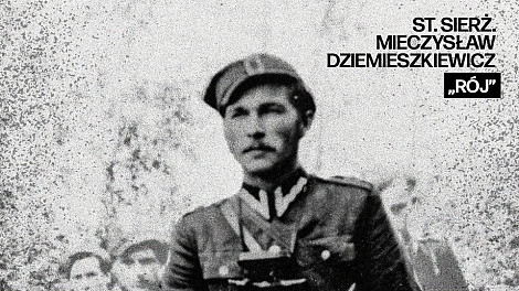 zdjecie