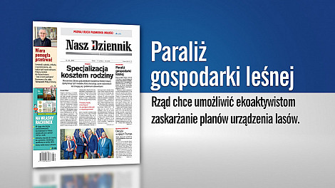 zdjecie