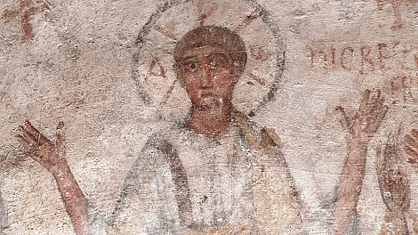 zdjecie