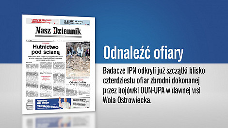 zdjecie