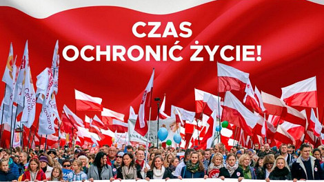 zdjecie