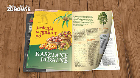 zdjecie