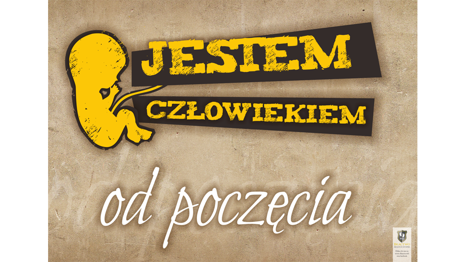zdjecie